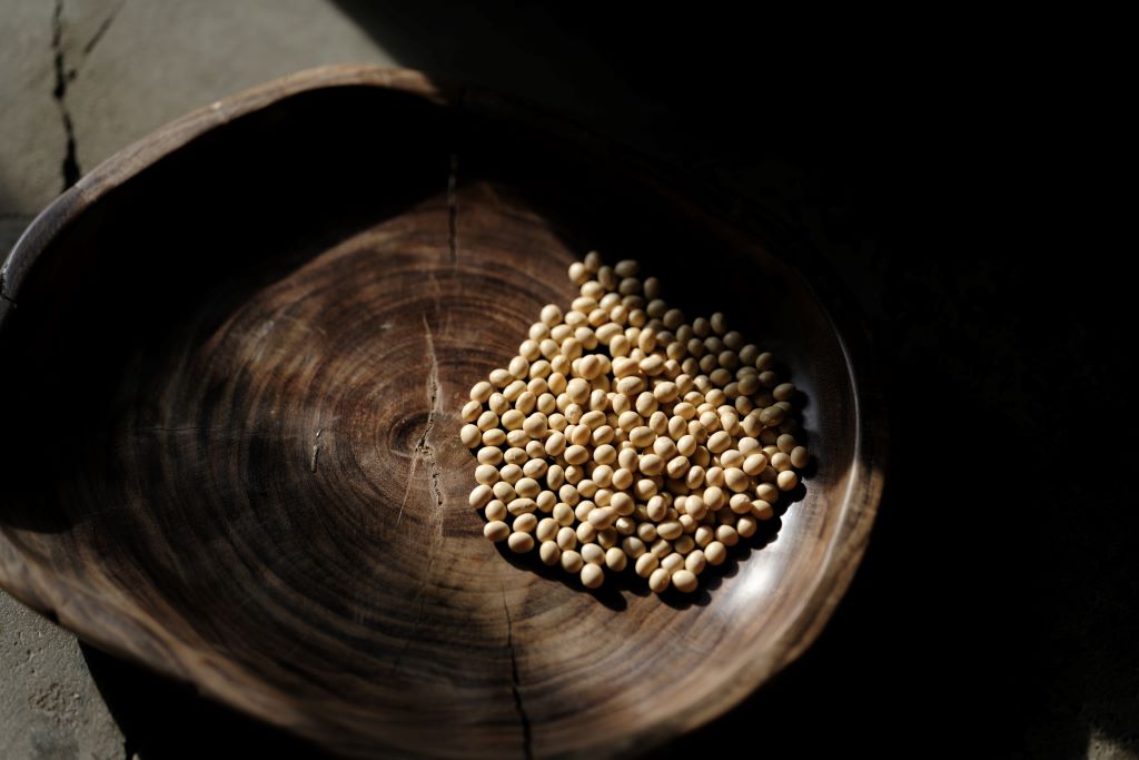 大豆の写真