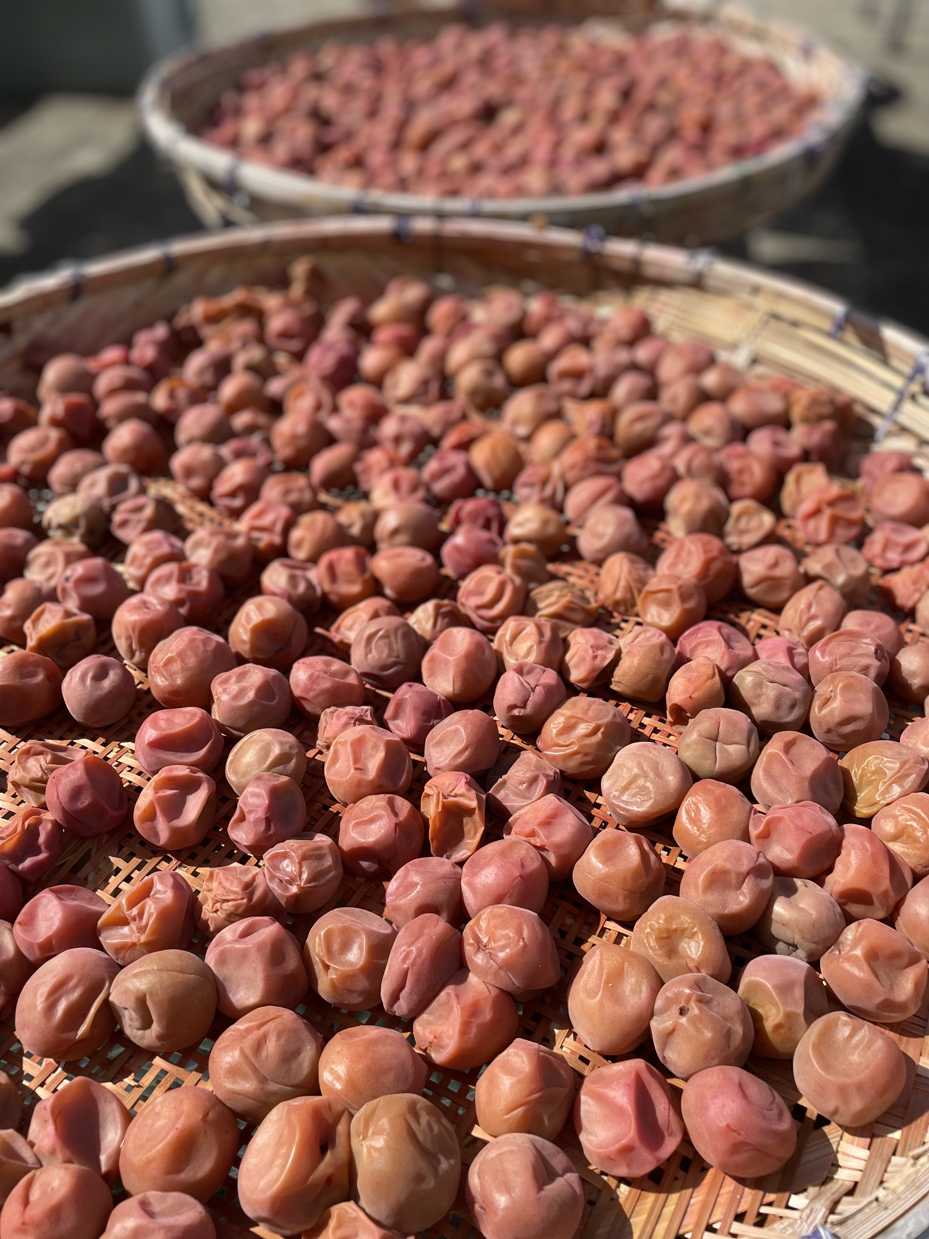 干している梅の写真